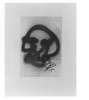 Image of Untitled