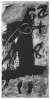 Image of Totem
