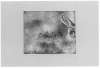 Image of Minor III