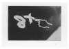 Image of Untitled