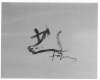 Image of Untitled