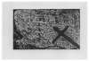 Image of Graffiti amb ics