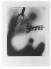 Image of Untitled
