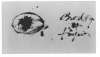 Image of Untitled