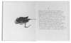 Image of Untitled