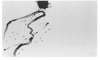 Image of Untitled