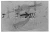 Image of Coberts 2