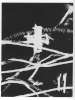 Image of Untitled