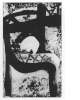 Image of Crani i cadira