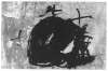 Image of Negre sobre gris