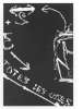 Image of Totes les coses