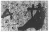 Image of Graffiti negre sobre gris