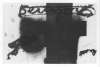 Image of Croix noire