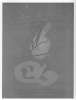 Image of Untitled