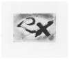 Image of Signes i òxid