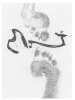 Image of Untitled