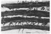 Image of Lettre O