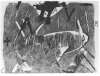 Image of Lletres i gris