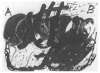 Image of Espiral