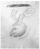 Image of Untitled