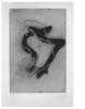 Image of Untitled