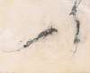 Image of Salto neuronal