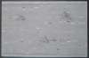 Image of Segmentos sobre tres manchas