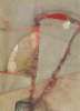 Image of Triangulo