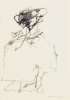 Image of Untitled