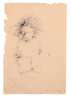 Image of Untitled
