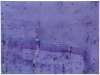 Imagen de la obra Vibración violeta