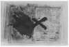 Imagen de la obra Marière et journal