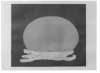Imagen de la obra Oval i blanc