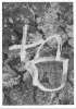 Imagen de la obra Cistell