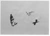 Imagen de la obra Chaussette blanche